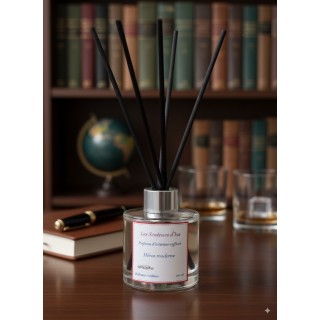 Diffuseurs à Bâtons - Héros moderne