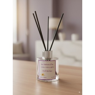 Diffuseurs à Bâtons - Etoile mystique